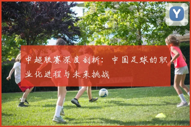 中超联赛深度剖析：中国足球的职业化进程与未来挑战